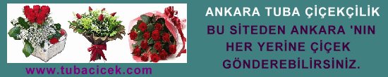 Ankara Tunal Hilmi Aziziye iek sat