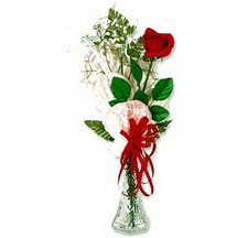 Kaliteli ve fiyatı ucuz bir ürün Cam içinde masum tek gül Ankara çiçek gönder firması şahane ürünümüz